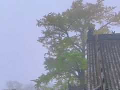 -金堂县云顶石城风景区
