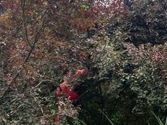 -长广溪湿地公园