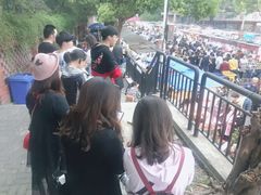 -郭阿姨月亮馍