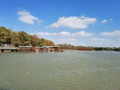 -上海海湾国家森林公园