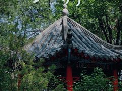 -哈尔滨极乐寺