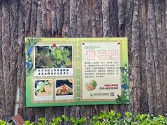 -呀路古热带植物园