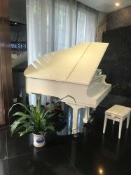 -比华利美容医院