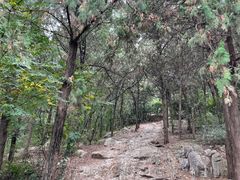 -云龙山
