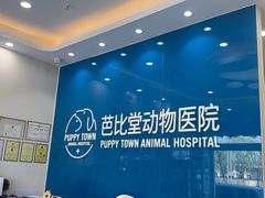 -芭比堂动物医院·CT·微创中心(新顺分院)