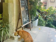 -默迹咖啡馆