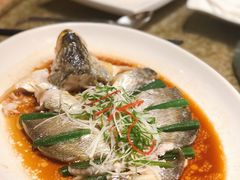 -重庆解放碑帝晶酒店·雅轩中餐厅
