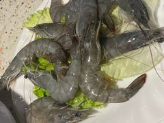 -二荆条·蜀鲜汇城市森林火锅