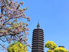 -西海子公园
