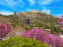 -石岛赤山风景区