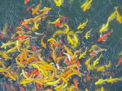 -沂蒙云瀑洞天景区