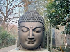 -杭州植物园