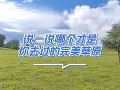 -御道口草原森林风景区