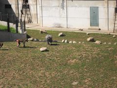 -西安秦岭野生动物园