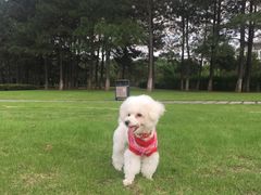 -佳雯宠物医院(四明中路分院)