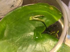 -杭州城中香格里拉大酒店