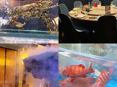 -1718海鲜姿造(苏宁宴请臻选店)