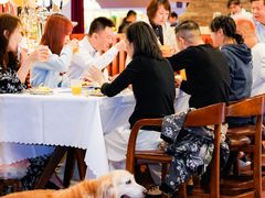 -浦鸿会尚莊亲子餐厅(碧云店)
