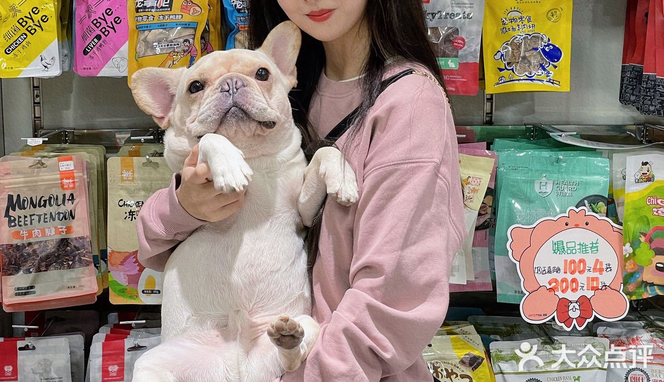 成华区最大宠物店🐾穿搭博主的狗也要洋气