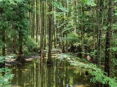 -山王坪喀斯特国家生态公园