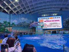 -海合安武汉极地海洋公园