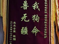 -北京派仕佳德动物医院·超导核磁·CT·神经科·骨科·内外科·急重症管理中心