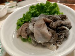 鲜脆毛肚-阳坊胜利涮羊肉(阳坊老店)