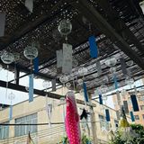 在花都，发现了日本的夏天🎐