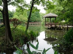 -上海滨江森林公园