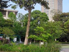 -苏州金鸡湖大酒店