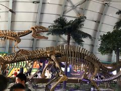 -辽宁古生物博物馆