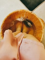 点击看大图 -恒美雅轩·品牌直营连锁