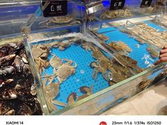 -加餐海鲜自助(宝龙一城店)