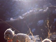 -蟠龙山长城景区