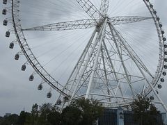 -祥源·阜阳生态乐园