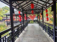 -侨美·唐荔园·40年地道粤菜