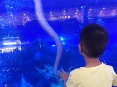 -成都浩海立方海洋公园