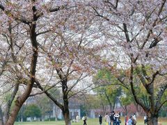 -石湖景区
