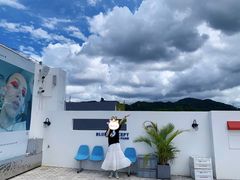 -Blue Concept Cafe&Farm·關於藍