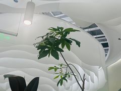-大树餐厅(朝阳大悦城店)