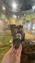 -Zoolung Zoolung动物主题公园(海信广场店)