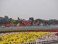 -北陵公园