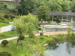 -洋湖国家湿地公园