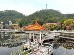 -红山村