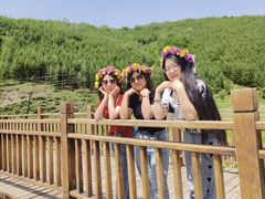 -塞罕坝国家级自然保护区