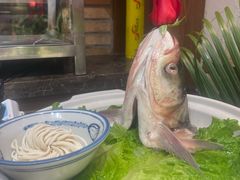 -鸽子窝(青塔店)