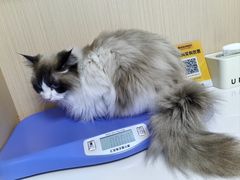 -谐和贝康宠物医院24小时·宠保定点(急重症转诊中心)