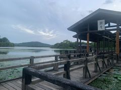 -渤公岛生态公园