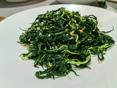 -金成潮菜博物馆(海珠湿地店)