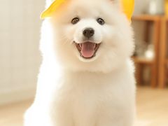 -荔康动物医院(康王北路店)